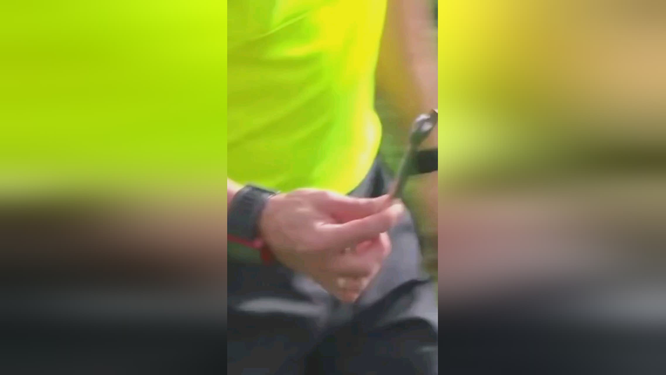 国青少年